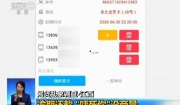 央视爆料网贷视频真实,揭秘真实借贷陷阱与风险