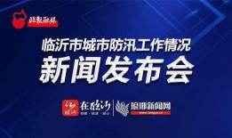 临沂爆料热点新闻事件,重大事件引发社会关注，详情揭晓！
