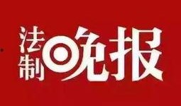提供新闻爆料的公司,新闻爆料公司背后的真相与影响